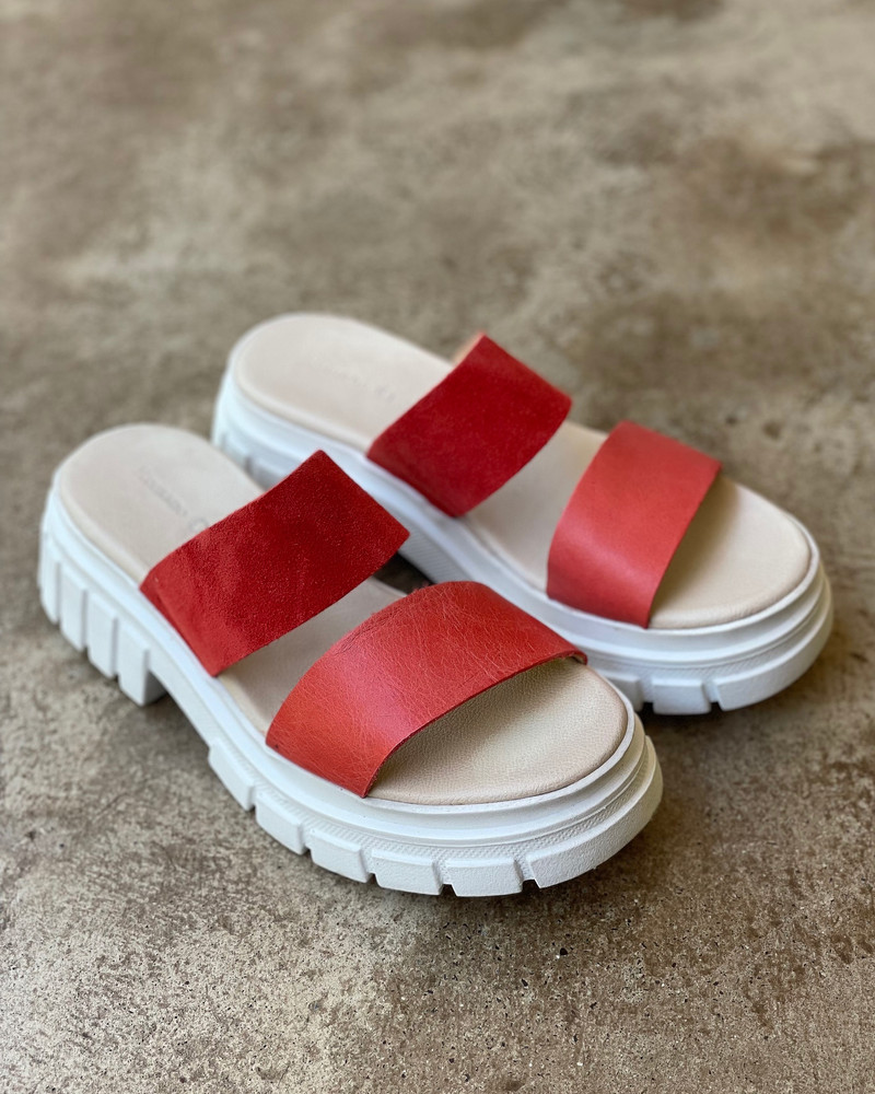 230430 Rojo
