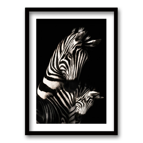 Cuadro Cebras Black white
