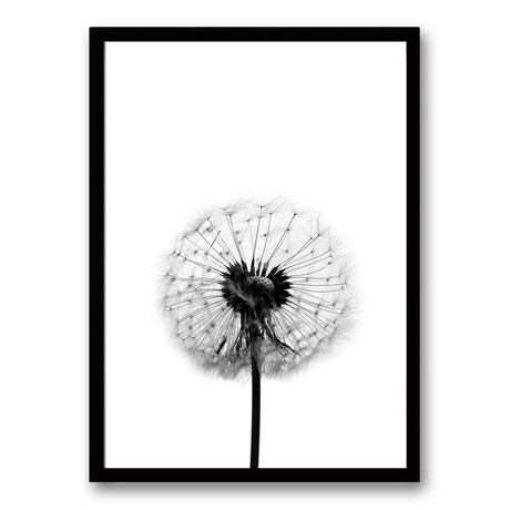 Cuadro Diente de León White Black