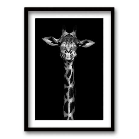 Cuadro Jirafa Black White