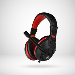 GXT 310 Radius Gaming Headset