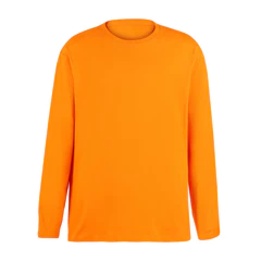 Polera Cuello Redondo Manga Larga Naranjo Kumen