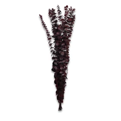 Rama Decorativa Natural Burdeo
