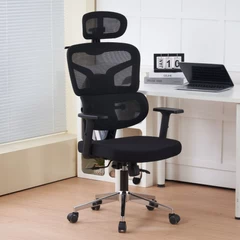 Silla Escritorio Ergohuman Troy Negro