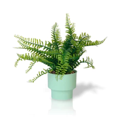 Planta Artificial Helecho 22x10 cm