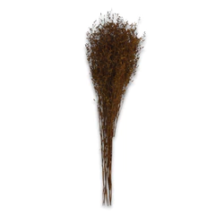 Rama Decorativa Natural 70 cm