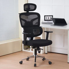 Silla Escritorio Ergohuman Troy Negro