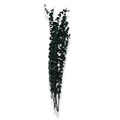 Rama Decorativa Natural Verde
