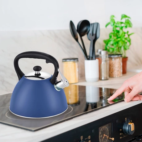 Tetera Acero Inoxidable 3 Litros Azul