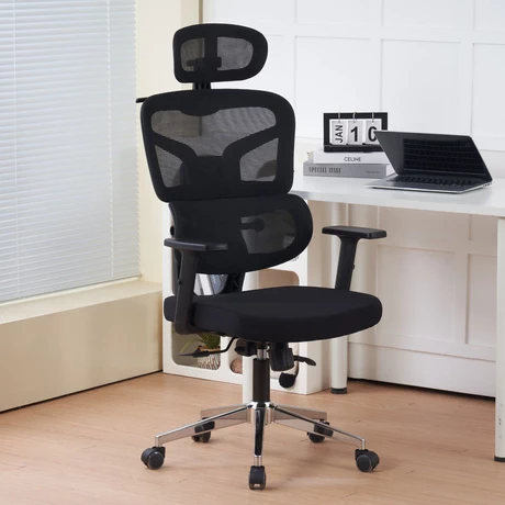 Silla Escritorio Ergohuman Troy Negro