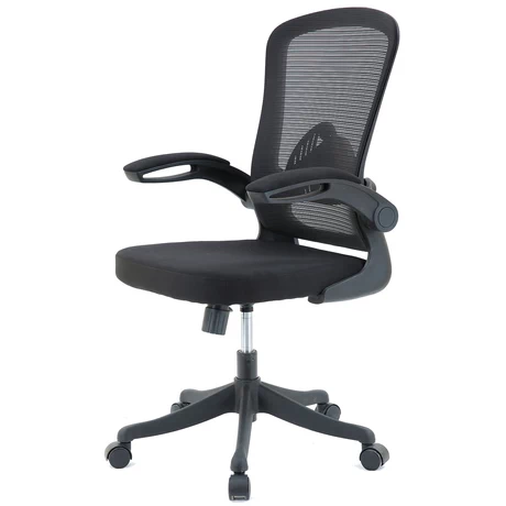 Silla de Escritorio Ergo Flex Pro - Negro