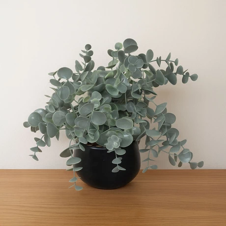 Planta Artificial Dichondra 20x9 cm