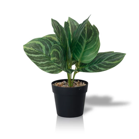 Planta Artificial Calathea 23x9 cm