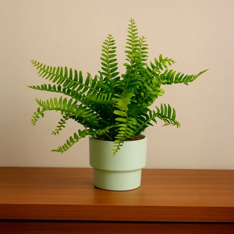 Planta Artificial Helecho 22x10 cm