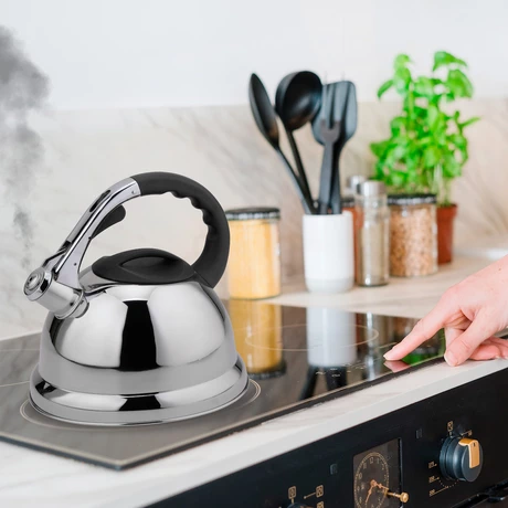 Tetera Acero Inoxidable 4,5 Litros Gris