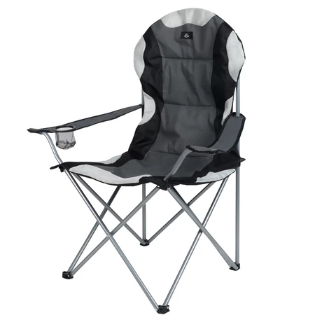 Silla Plegable con Reposabrazos Gris