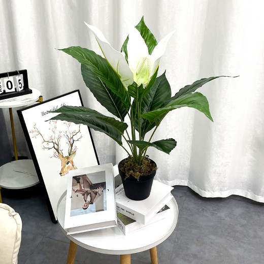Planta Artificial Anturio Verde