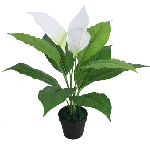 Planta Artificial Anturio Verde