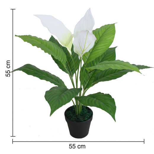 Planta Artificial Anturio Verde