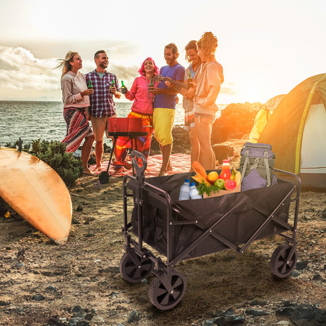 Carro de Camping Negro