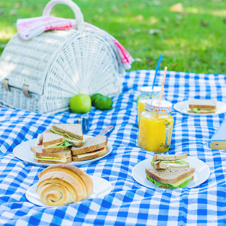 Manta de Picnic Azul