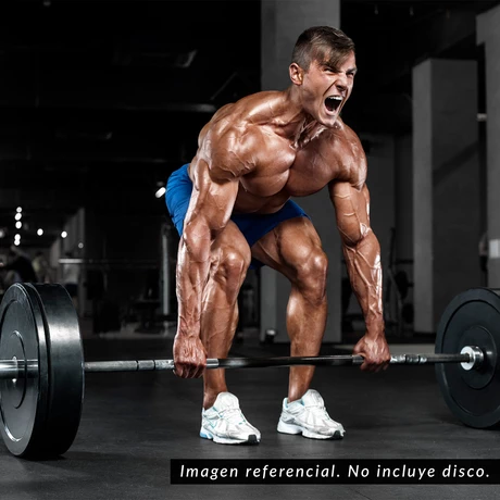 Barra Olímpica de 182 cm 5cm Gris