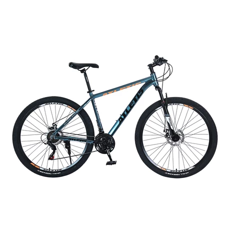 Bicicleta Mountain Bike Blaze Aro 29