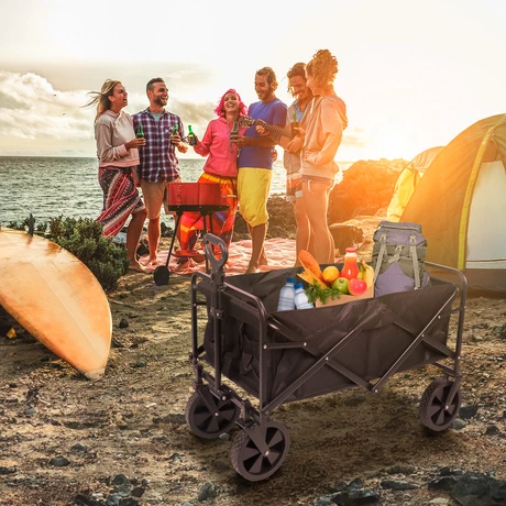 Carro de Camping Negro