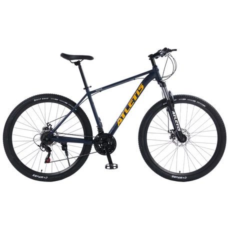 Bicicleta Mountain Bike Ragaz 29