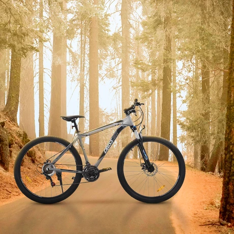 Bicicleta Mountain Bike Aro 29” 21 Velocidades Gris