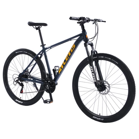 Bicicleta Mountain Bike Ragaz 29
