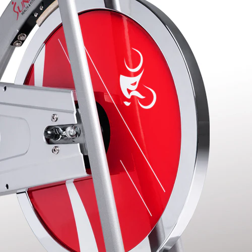 Bicicleta Spinning Sunny Health & Fitness SF-B1203 Volante de Inercia 10 Kg