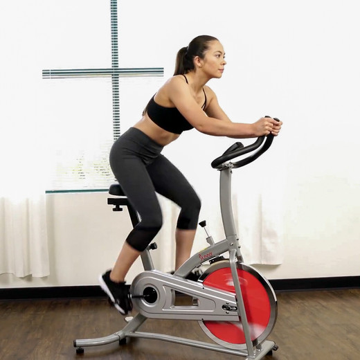 Bicicleta Spinning Sunny Health & Fitness SF-B1203 Volante de Inercia 10 Kg