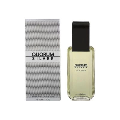 Quorum Silver Eau de Toilette 100 ml