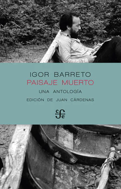 PAISAJE MUERTO. Una Antología