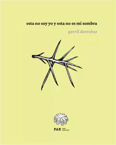 ESTA NO SOY YO Y ESTA NO ES MI SOMBRA