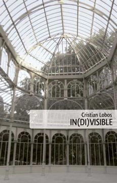 IN(DI)VISIBLE