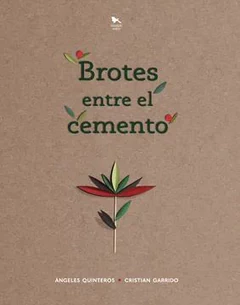 BROTES ENTRE EL CEMENTO
