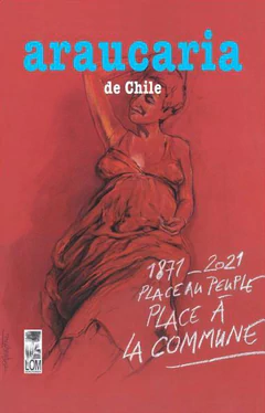 ARAUCARIA DE CHILE. REVISTA N° 50
