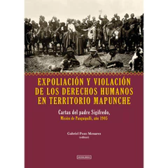 EXPOLIACION Y VIOLACION DE LOS DERECHOS HUMANOS EN TERRITORIO MAPUNCHE