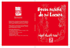 BREVE RESEÑA DE MI LOCURA