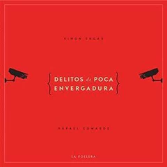 DELITOS DE POCA ENVERGADURA