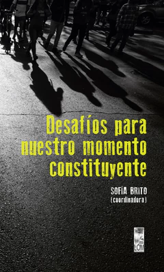 DESAFIOS PARA NUESTRO MOMENTO CONSTITUYENTE