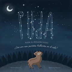 PEQUEÑO PUDU ¿QUÉ SON ESOS PUNTITOS BRILLANTES EN EL CIELO?, EL
