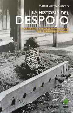 HISTORIA DEL DESPOJO, LA. EL ORIGEN DE LA PROPIEDAD PARTICULAR EN EL TERRITORIO MAPUCHE