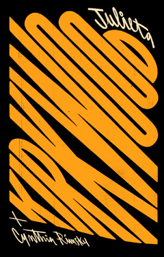 PREGUNTAS QUE HICIERON MOVIMIENTO. ESCRITOS FEMINISTAS, 1975-1985