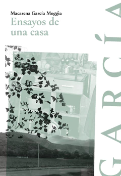 ENSAYOS DE UNA CASA