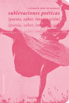 SUBLEVACIONES POETICAS (poesía, saber, imaginación)
