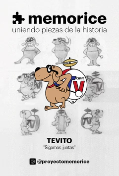 PIN TEVITO