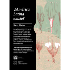 AMERICA LATINA EXISTE